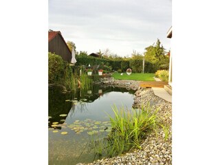 Holiday apartment Schweigen-Rechtenbach Environment 14