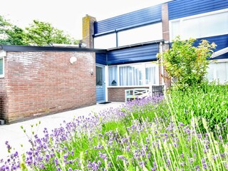 Ferienhaus Nieuwvliet Außenaufnahme 3