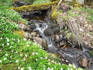 Casa per le vacanze Alingsås  29