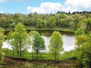 Apartment Deudesfeld Umgebung 16