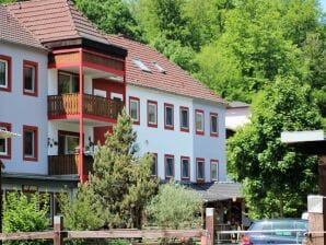 Apartment Wohnung in Deudesfeld mit eigener Terrasse - Deudesfeld - image1