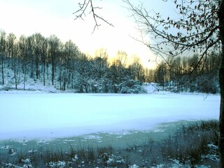 Appartement Deudesfeld Omgeving 21