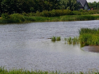 Ferienhaus Skaven Strand  36
