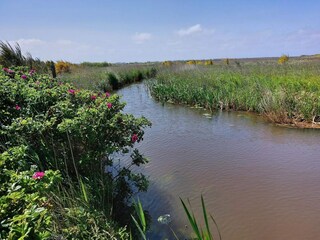 Casa de vacaciones Skaven Strand  44