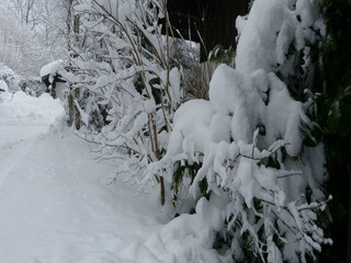 Appartement Zenting Enregistrement extérieur 7