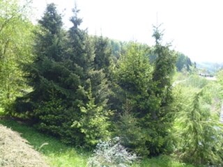 Appartement Zenting Enregistrement extérieur 5