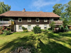 Heerlijk appartement in Goslar met tuin en terras - Goslar - image1