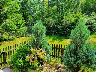 Appartement Goslar Buitenaudio-opname 7