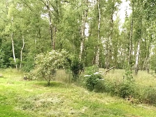 Apartment Goslar Außenaufnahme 8