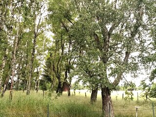 Apartment Goslar Environment 24