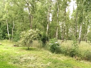 Apartment Goslar Outdoor Recording 8
