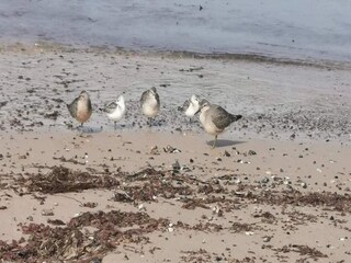 Holiday house Lønstrup  11