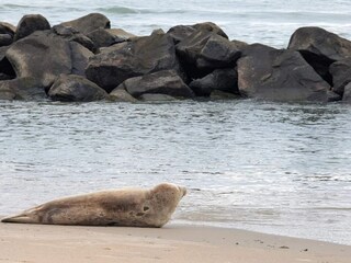 Maison de vacances Lønstrup  32