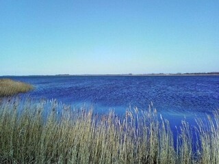 Vakantiehuis Vieregge Omgeving 13