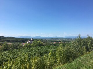 Blick auf die Vogesen