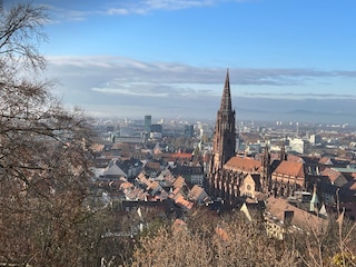 Freiburger Münster