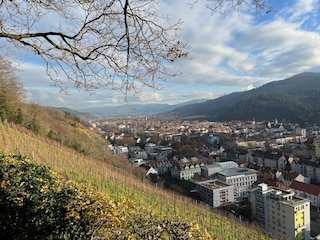 Höllental vom Schlossberg in Freiburg