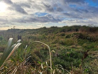 Casa de vacaciones Kalundborg  19