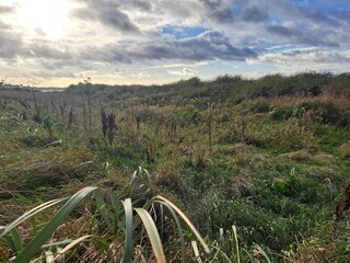 Casa per le vacanze Kalundborg  21