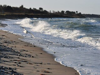 Casa per le vacanze Kalundborg  31