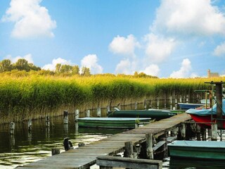 Vakantiehuis Oberuckersee Omgeving 23