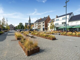 Vakantiehuis Hasselt Omgeving 38