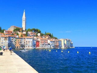 Villa Motovun Ambiente 44