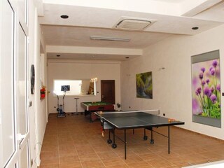 Villa Motovun Caratteristiche 38