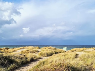 Casa per le vacanze Tisvildeleje Registrazione all'aperto 5