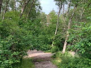 Ferienhaus Tisvildeleje  42