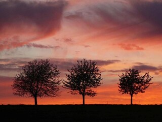 Ferienhaus Neudorf (Harz) Umgebung 33