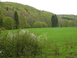 Ferienhaus Neudorf (Harz) Umgebung 27