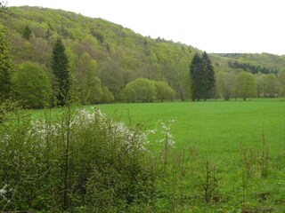 Vakantiehuis Neudorf (Harz) Omgeving 31