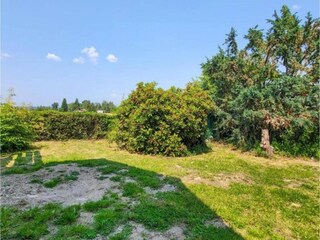 Vakantiehuis Neudorf (Harz) Omgeving 23