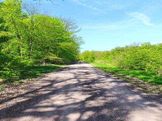 Casa per le vacanze Neudorf (Harz) Ambiente 24