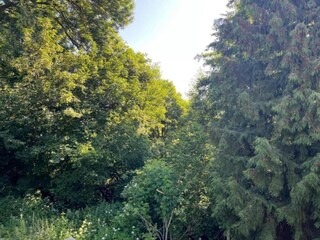 Vakantiehuis Neudorf (Harz) Omgeving 22