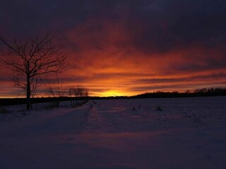 Vakantiehuis Neudorf (Harz) Omgeving 28