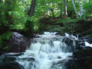 Casa de vacaciones Neudorf (Harz) Entorno 26