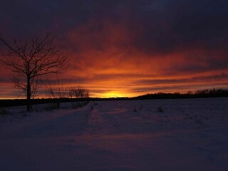 Casa de vacaciones Neudorf (Harz) Entorno 32