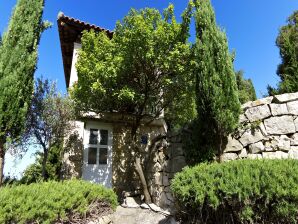 Villa Skylight - Two Bedroom Villa & Studio with Private Swimming Pool, Garden and Sea View - Cavtat - image1