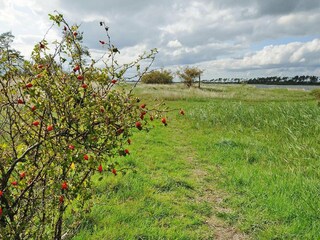 Vakantiehuis Zudar Omgeving 11
