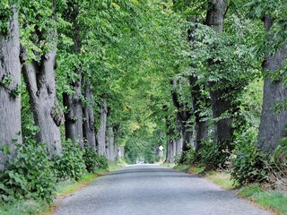 Vakantiehuis Zudar Omgeving 12