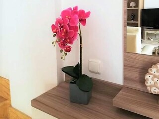 Maison de vacances Vera Playa Équipement 14