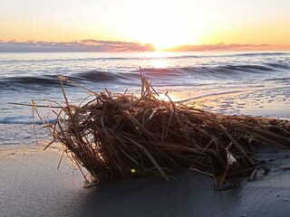 Maison de vacances Hou  11