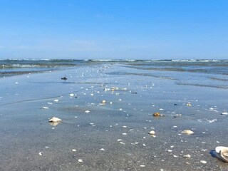 Vakantiehuis Hou  34