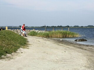 Appartamento Vieregge  36