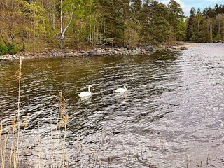 Ferienhaus Ingarö  11