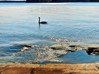 Vakantiehuis Ingarö  13