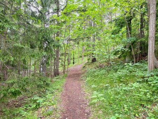 Vakantiehuis Ingarö  24