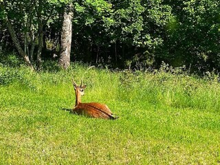 Vakantiehuis Ingarö  26